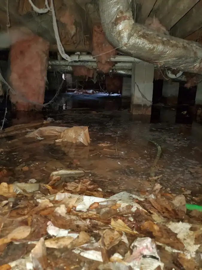 Crawl space flood assessment for Leak Detection & Repair in Macedonia